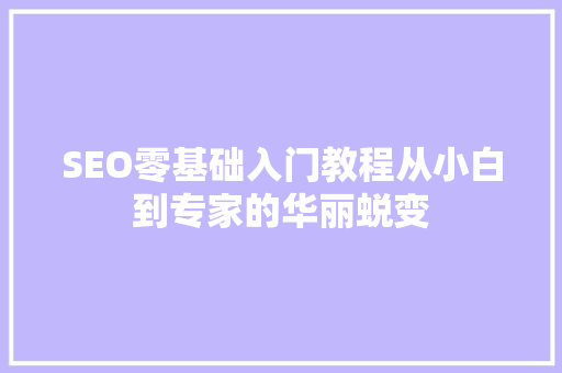 SEO零基础入门教程从小白到专家的华丽蜕变