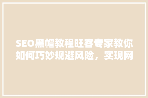 SEO黑帽教程旺客专家教你如何巧妙规避风险，实现网站流量翻倍