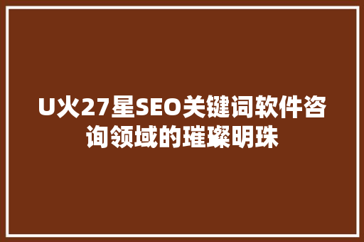 U火27星SEO关键词软件咨询领域的璀璨明珠