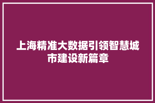 上海精准大数据引领智慧城市建设新篇章