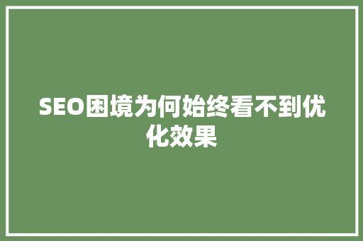 SEO困境为何始终看不到优化效果  第1张