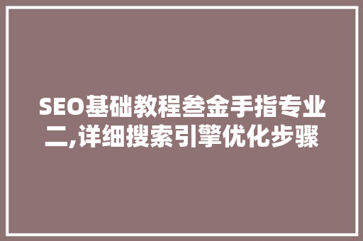 SEO基础教程叁金手指专业二,详细搜索引擎优化步骤