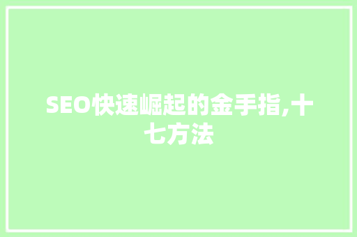 SEO快速崛起的金手指,十七方法  第1张