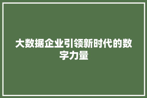 大数据企业引领新时代的数字力量  第1张