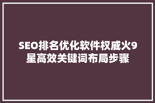 SEO排名优化软件权威火9星高效关键词布局步骤