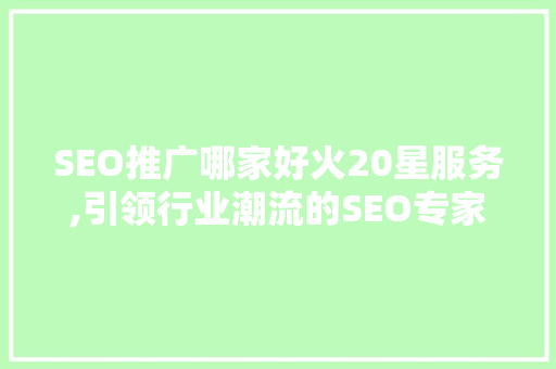 SEO推广哪家好火20星服务,引领行业潮流的SEO专家