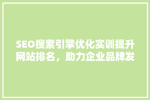 SEO搜索引擎优化实训提升网站排名，助力企业品牌发展