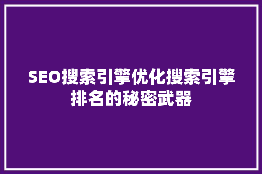 SEO搜索引擎优化搜索引擎排名的秘密武器