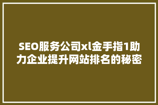 SEO服务公司xl金手指1助力企业提升网站排名的秘密武器