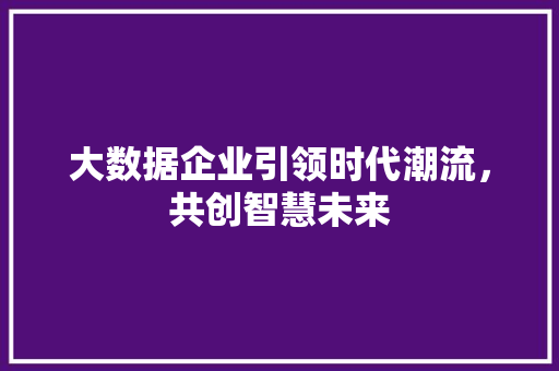 大数据企业引领时代潮流，共创智慧未来  第1张