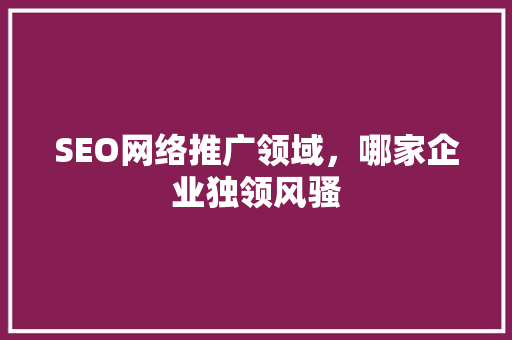SEO网络推广领域，哪家企业独领风骚