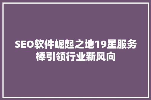 SEO软件崛起之地19星服务棒引领行业新风向