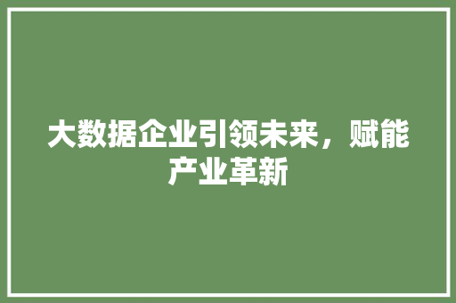 大数据企业引领未来，赋能产业革新
