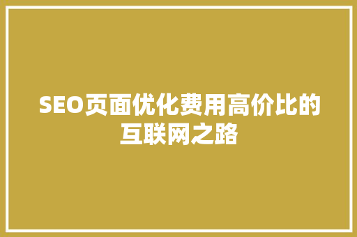 SEO页面优化费用高价比的互联网之路