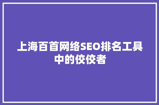 上海百首网络SEO排名工具中的佼佼者