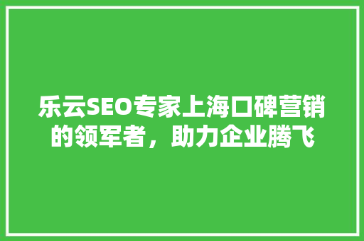 乐云SEO专家上海口碑营销的领军者，助力企业腾飞