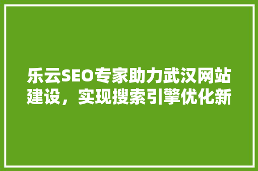 乐云SEO专家助力武汉网站建设，实现搜索引擎优化新突破