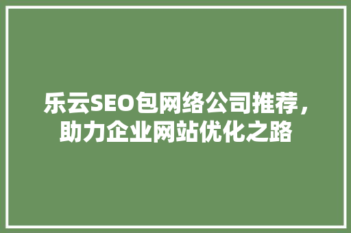乐云SEO包网络公司推荐，助力企业网站优化之路