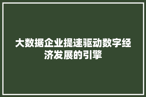 大数据企业提速驱动数字经济发展的引擎
