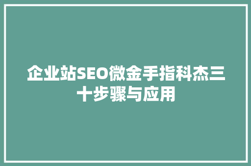 企业站SEO微金手指科杰三十步骤与应用