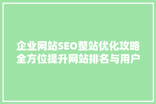 企业网站SEO整站优化攻略全方位提升网站排名与用户体验