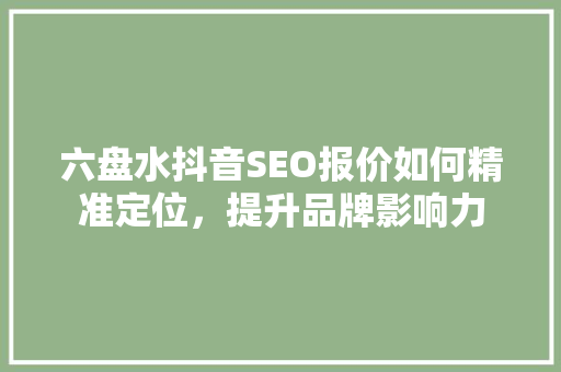 六盘水抖音SEO报价如何精准定位，提升品牌影响力