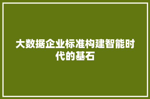 大数据企业标准构建智能时代的基石