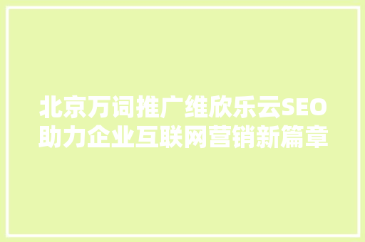 北京万词推广维欣乐云SEO助力企业互联网营销新篇章