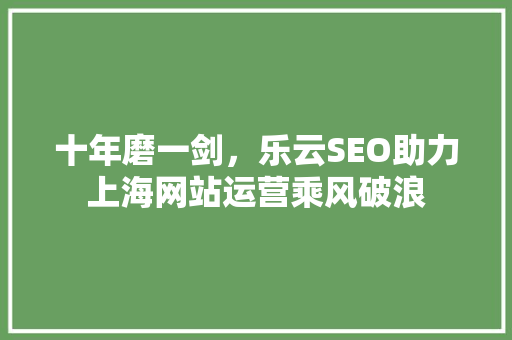 十年磨一剑，乐云SEO助力上海网站运营乘风破浪