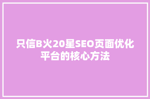 只信B火20星SEO页面优化平台的核心方法