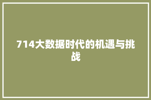 714大数据时代的机遇与挑战