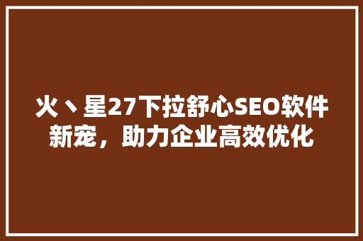 火丶星27下拉舒心SEO软件新宠，助力企业高效优化