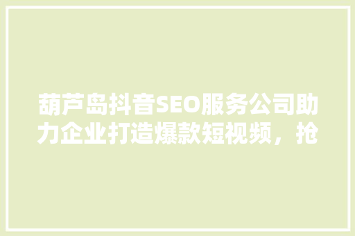 葫芦岛抖音SEO服务公司助力企业打造爆款短视频，抢占流量红利