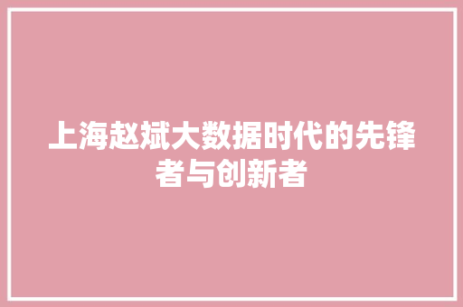 上海赵斌大数据时代的先锋者与创新者