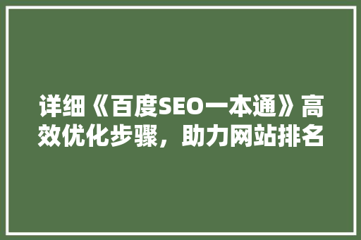 详细《百度SEO一本通》高效优化步骤，助力网站排名提升