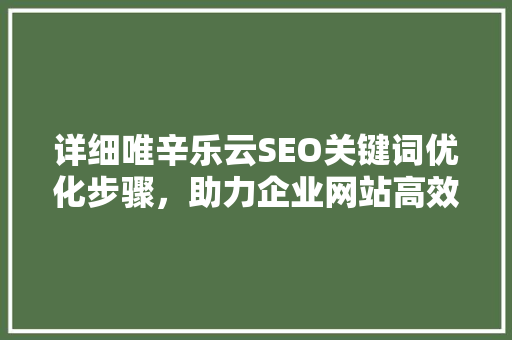 详细唯辛乐云SEO关键词优化步骤，助力企业网站高效排名