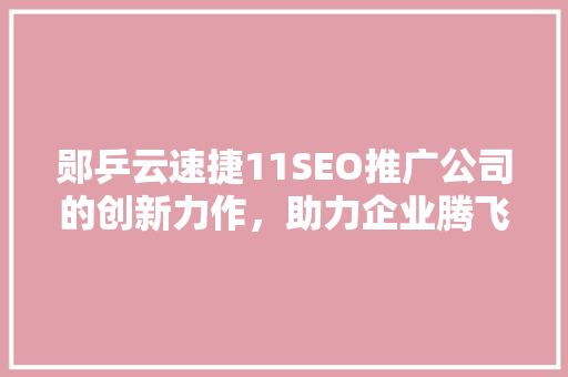 郧乒云速捷11SEO推广公司的创新力作，助力企业腾飞
