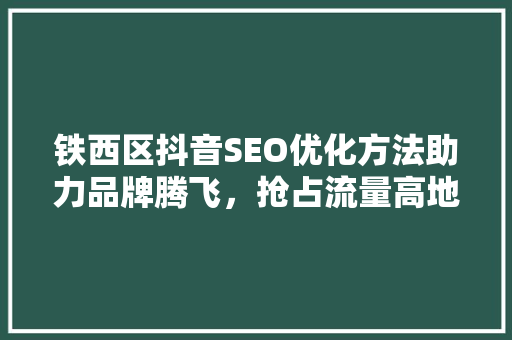 铁西区抖音SEO优化方法助力品牌腾飞，抢占流量高地