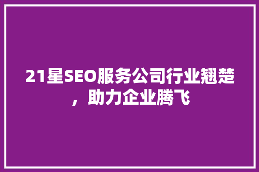 21星SEO服务公司行业翘楚，助力企业腾飞