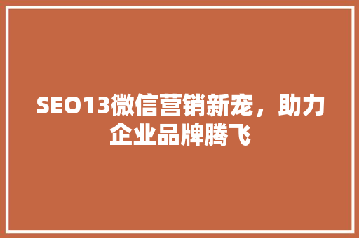 SEO13微信营销新宠，助力企业品牌腾飞