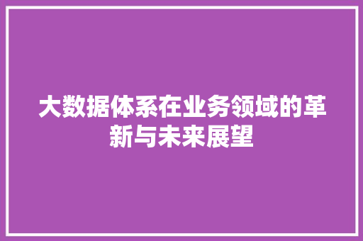大数据体系在业务领域的革新与未来展望