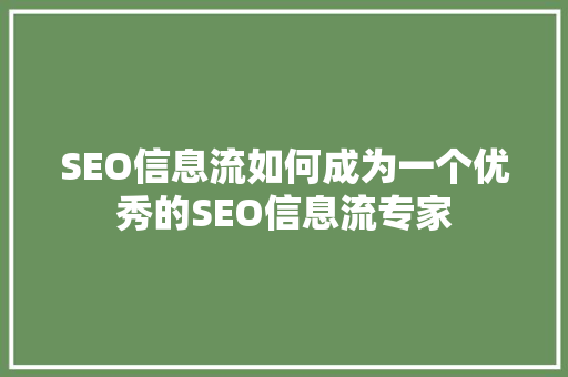 SEO信息流如何成为一个优秀的SEO信息流专家