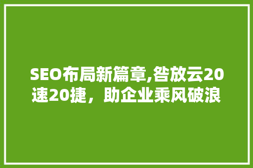 SEO布局新篇章,咎放云20速20捷，助企业乘风破浪
