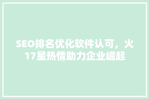 SEO排名优化软件认可，火17星热情助力企业崛起