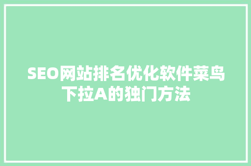 SEO网站排名优化软件菜鸟下拉A的独门方法