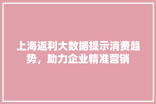 上海返利大数据提示消费趋势，助力企业精准营销