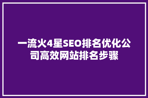 一流火4星SEO排名优化公司高效网站排名步骤