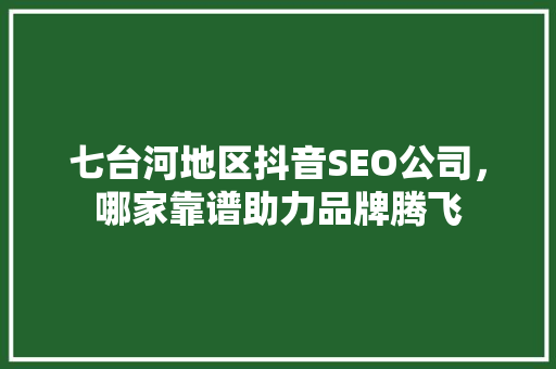 七台河地区抖音SEO公司，哪家靠谱助力品牌腾飞