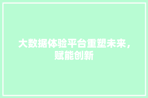 大数据体验平台重塑未来，赋能创新
