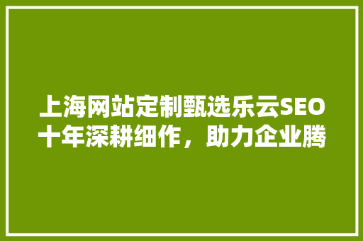 上海网站定制甄选乐云SEO十年深耕细作，助力企业腾飞